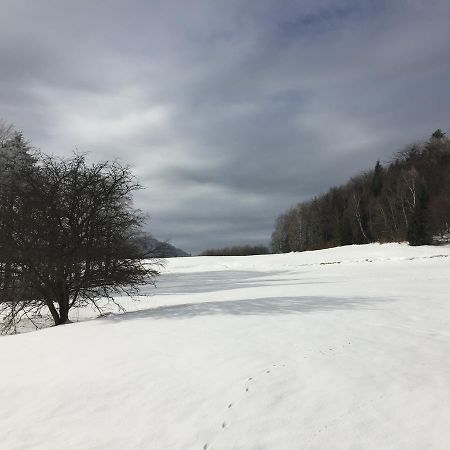 Pokoje Goscinne Vida Krynica Zdroj Buitenkant foto