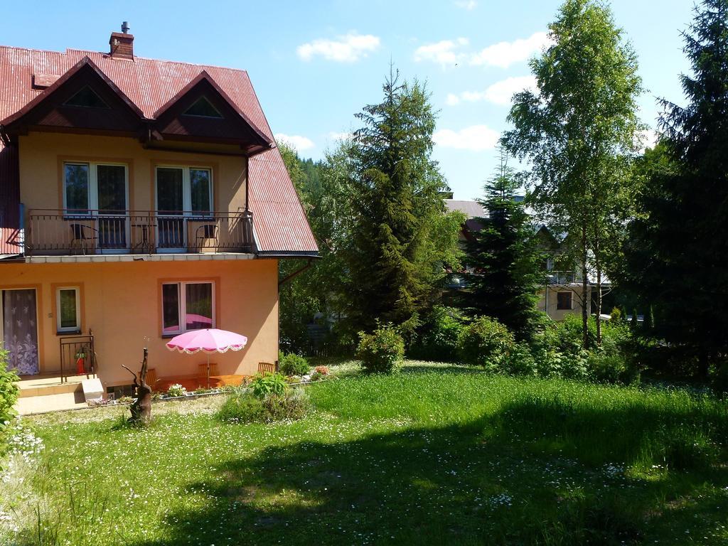 Pokoje Goscinne Vida Krynica Zdroj Buitenkant foto