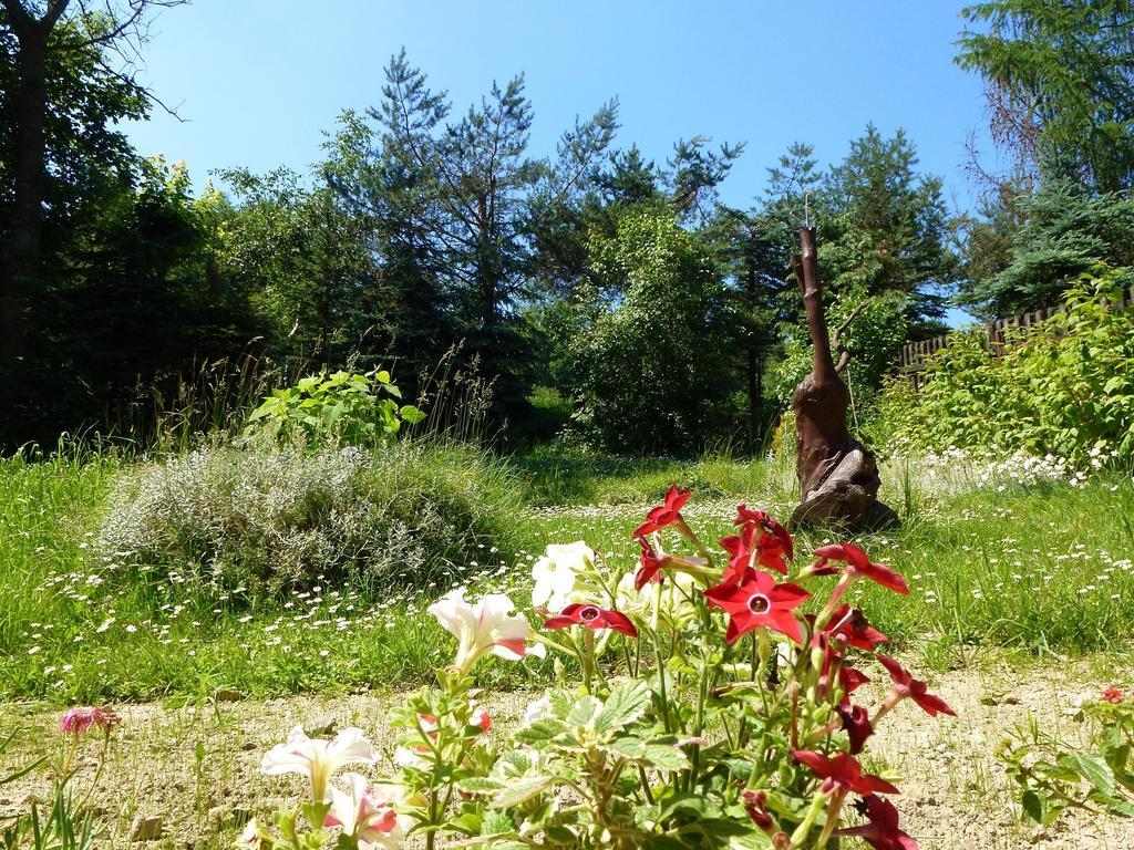 Pokoje Goscinne Vida Krynica Zdroj Buitenkant foto