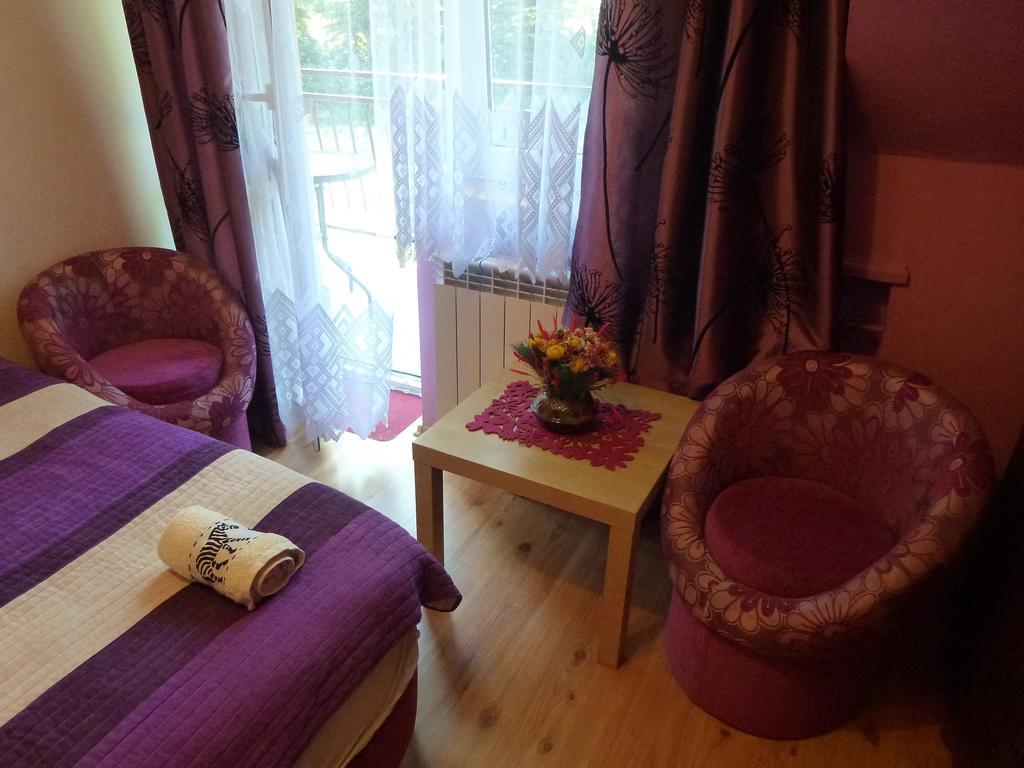 Pokoje Goscinne Vida Krynica Zdroj Kamer foto